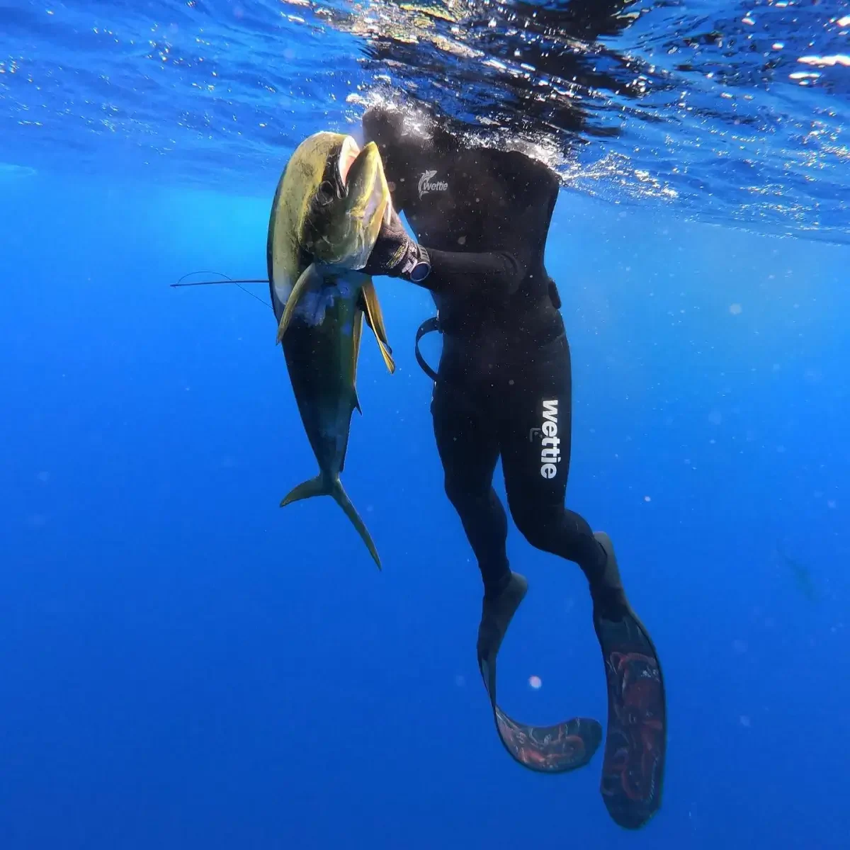 charter spearfishing 2